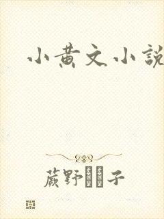 小黄文小说封面