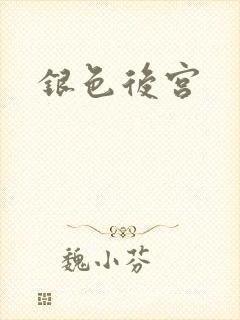 银色后宫