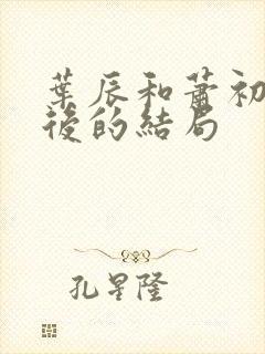 叶辰和萧初然最后的结局