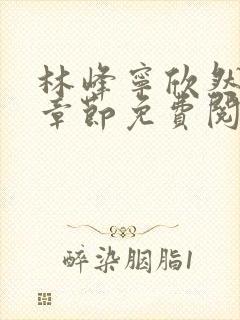 林峰宁欣然最新章节免费阅读笔趣阁封面