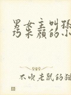 男女主叫孙哲叶巧朱颜的小说