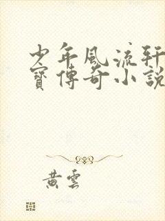少年风流轩辕大宝传奇小说封面