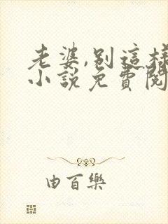 老婆,别这样 小说免费阅读