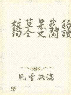 校草是我的宠物狗全文阅读无弹窗
