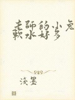 老师的小兔子好软水好多