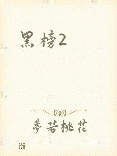 黑榜2封面
