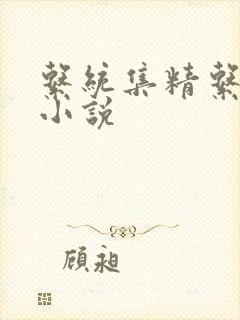 系统集精系统 小说