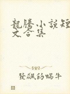 龙腾小说短篇辣文合集