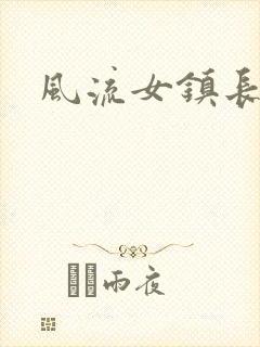 风流女镇长封面
