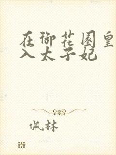在御花园皇上进入太子妃封面