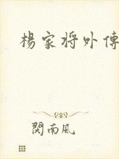 杨家将外传