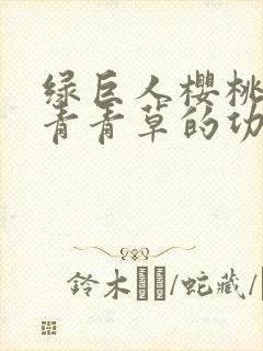 绿巨人樱桃荔枝青青草的功效