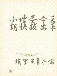 小坏蛋今天危险期快拔出来
