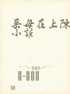 岳母在上陈浩的小说