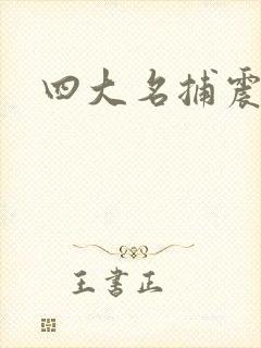 四大名捕震关东