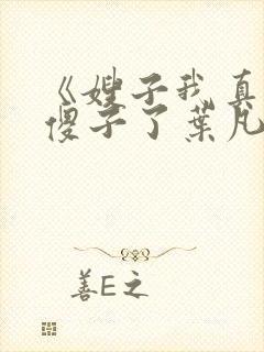 《嫂子我真不是傻子了叶凡》封面