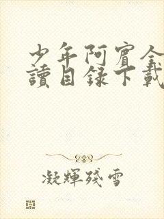 少年阿宾全文阅读目录下载封面