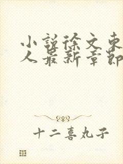 小说徐文东林伊人最新章节阅读全文