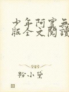 少年阿宾无删减版全文阅读