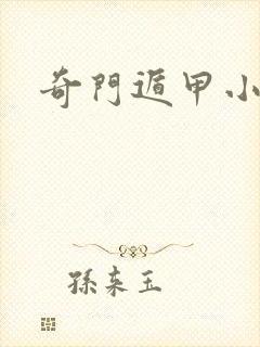 奇门遁甲小说