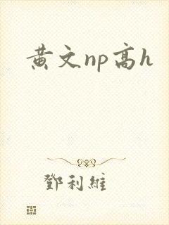 黄文np高h