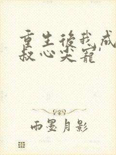 重生后我成了皇叔心尖宠'封面