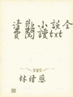 清欢小说全文免费阅读txt