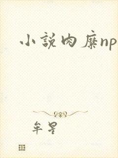 小说肉糜np