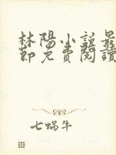 林阳小说最新章节免费阅读全文
