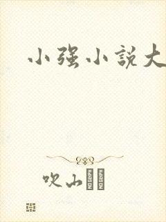 小强小说大全