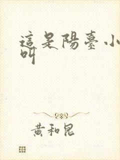 这是阳台小点声叫封面