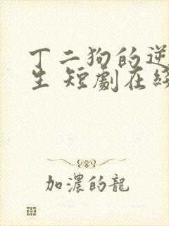 丁二狗的逆袭人生 短剧在线观看