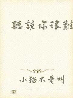 听说你很难追