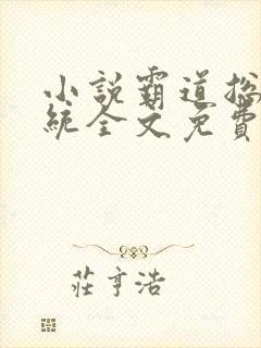 小说霸道总裁系统全文免费阅读