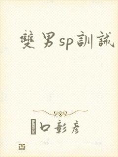 双男sp训诫文
