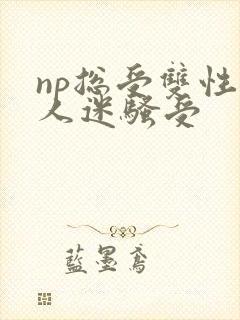 np总受双性万人迷骚受封面