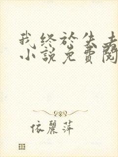 我终于失去你了小说免费阅读