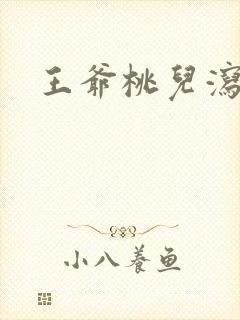 王爷桃儿泻了封面