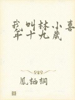 我叫林小喜 今年十九岁