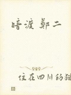 暗渡 郑二封面