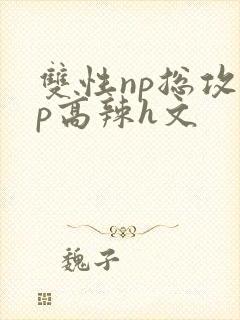 双性np总攻np高辣h文封面