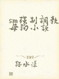 sm强制调教小母狗小说