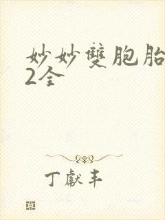 妙妙双胞胎1-2全封面