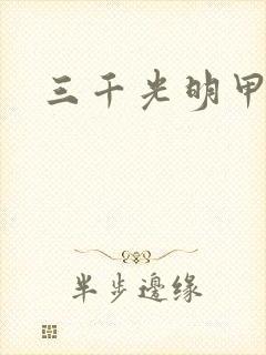 三千光明甲封面
