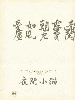 爱如朝露,散若尘风免费阅读小说