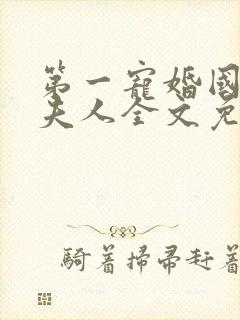 第一宠婚国民少夫人全文免费阅读