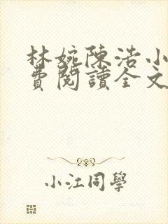 林婉陈浩小说免费阅读全文最新章节封面