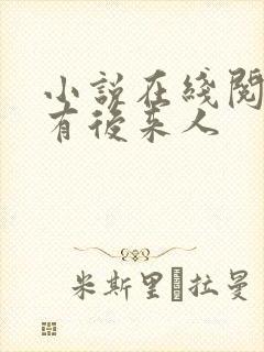 小说在线阅读还有后来人