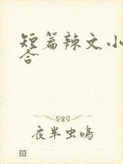 短篇辣文小说集合