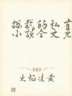 总裁的私有宝贝小说全文免费阅读